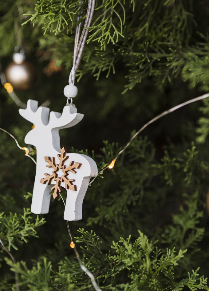 Двенадцать месяцев