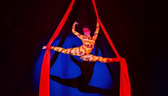 Цирк-шапито «София»