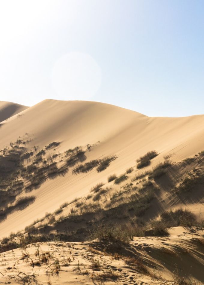 Бархан Сарыкум и прогулка на катере по Сулакскому каньону