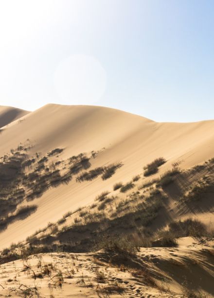 Бархан Сарыкум и прогулка на катере по Сулакскому каньону