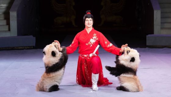 Цирк-шапито «София»